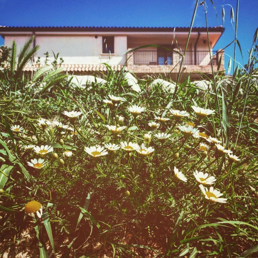 Casale Del Sole Bed & Breakfast Cepagatti Eksteriør bilde